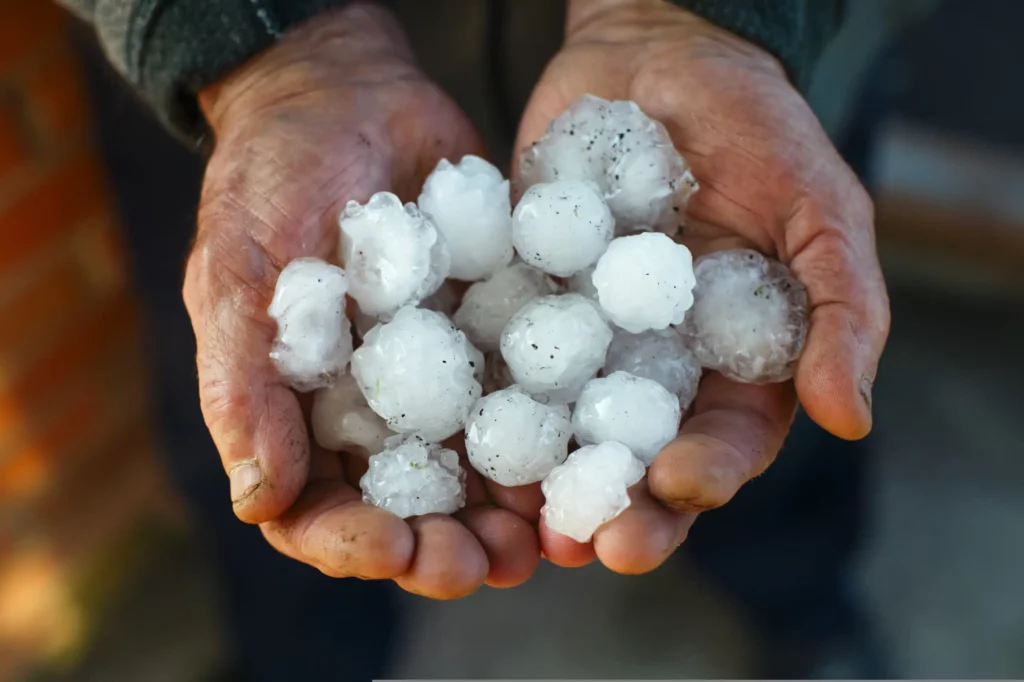 Hail in hand